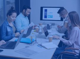 MLM Software Company